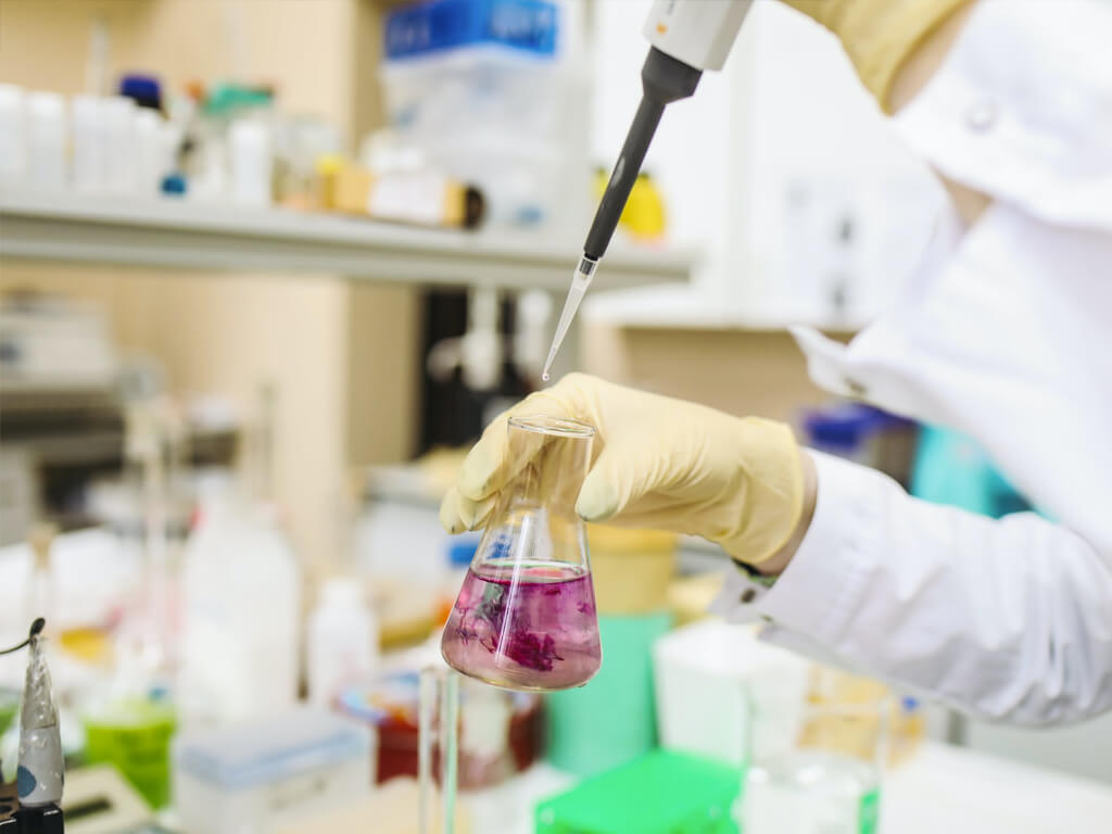 Investment Growth Visualization